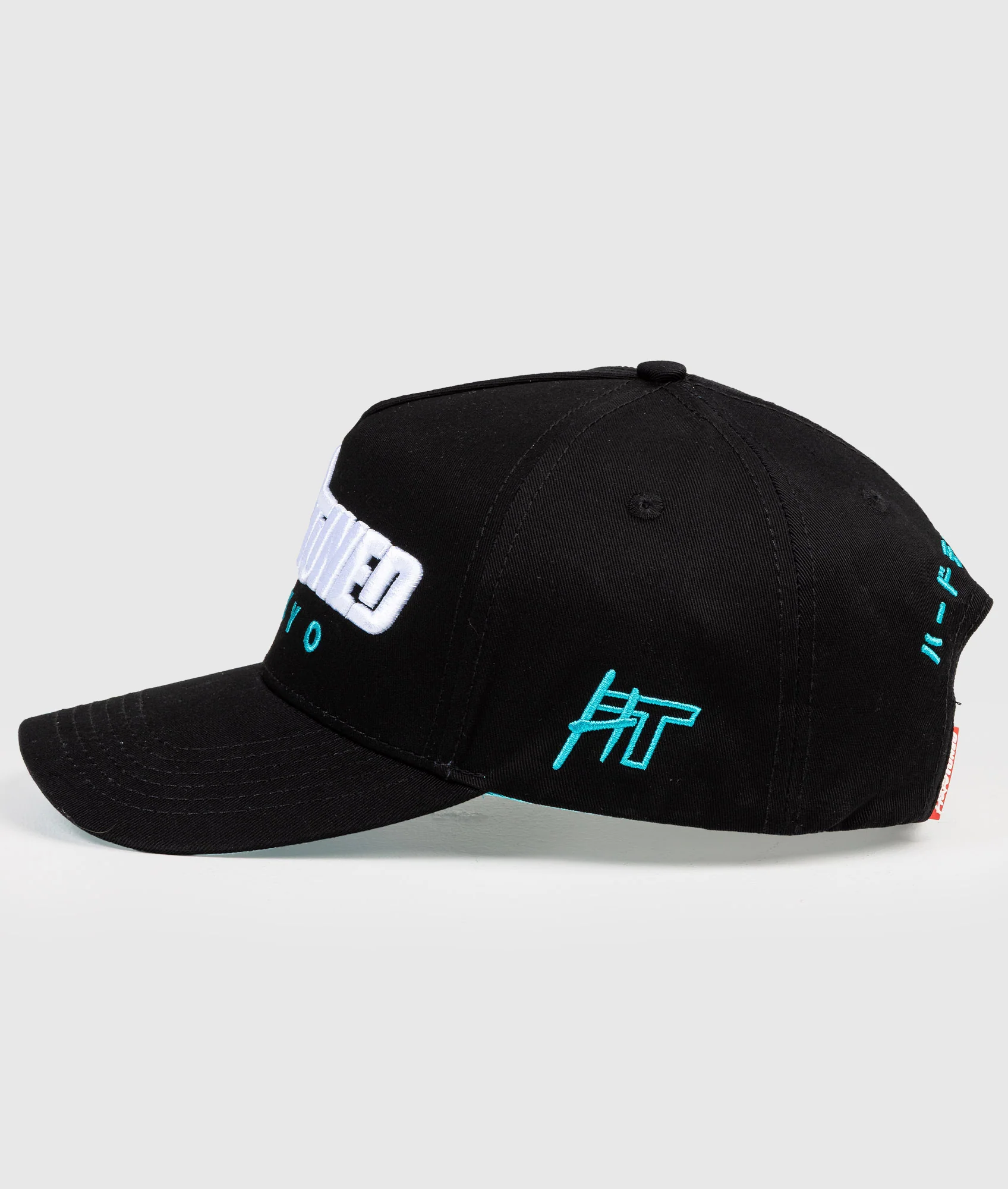Hardtuned Tokyo Black/Tiffany - A Frame Cap - Image 4