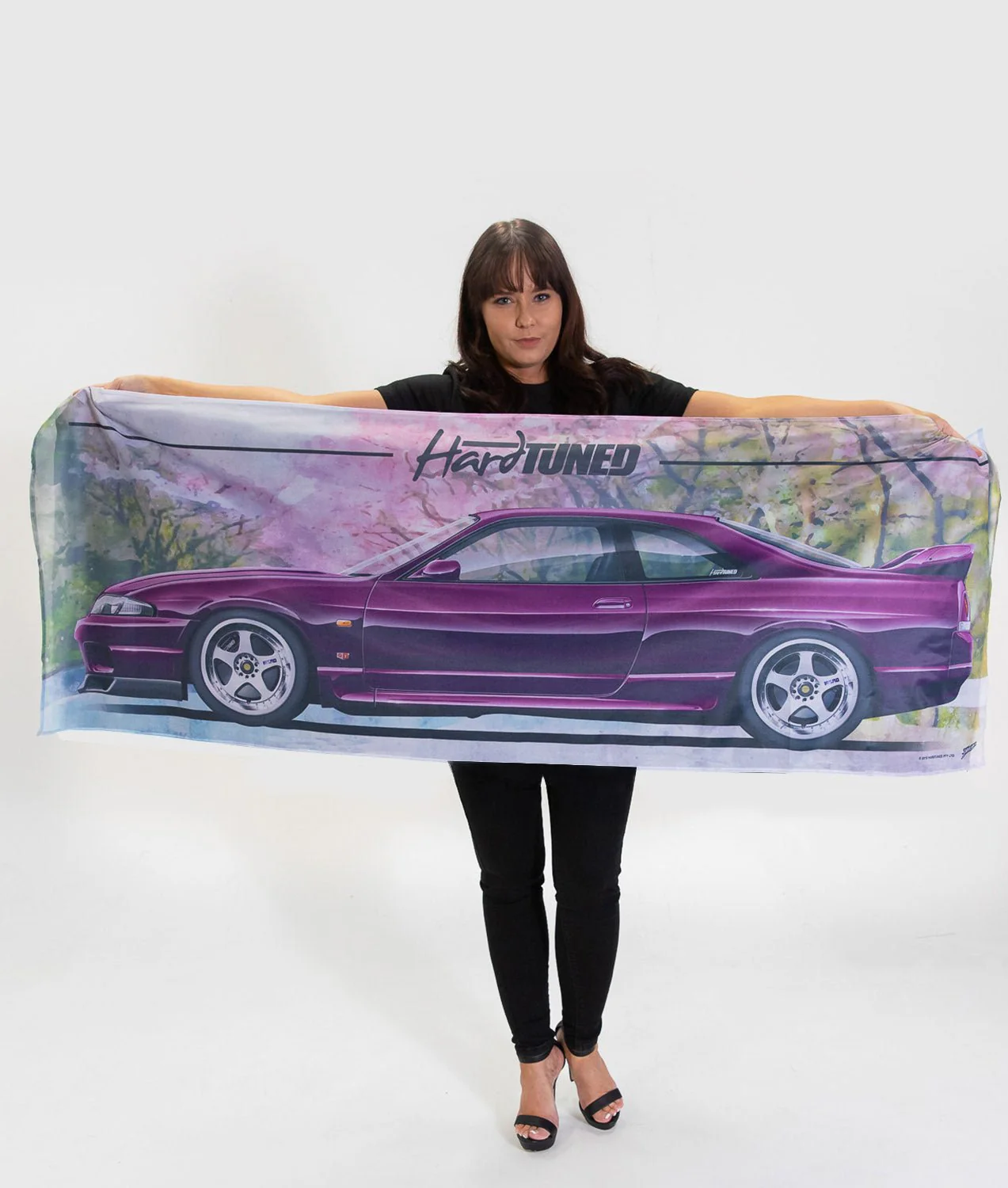 Nissan R33 Skyline Bundle - Image 3