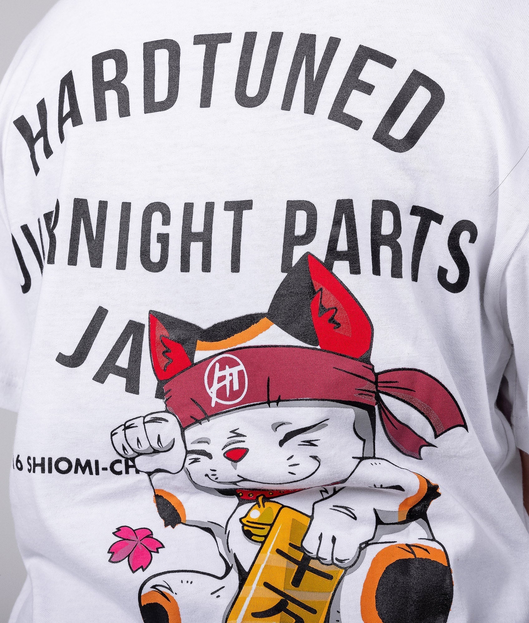 Women's Oversized Overnight Parts Kitty Tee - Image 5